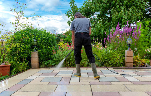 Best Fence Cleaning  in Acton, CA